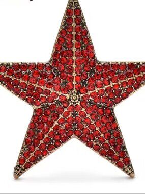 Red Star Crystal Brooch